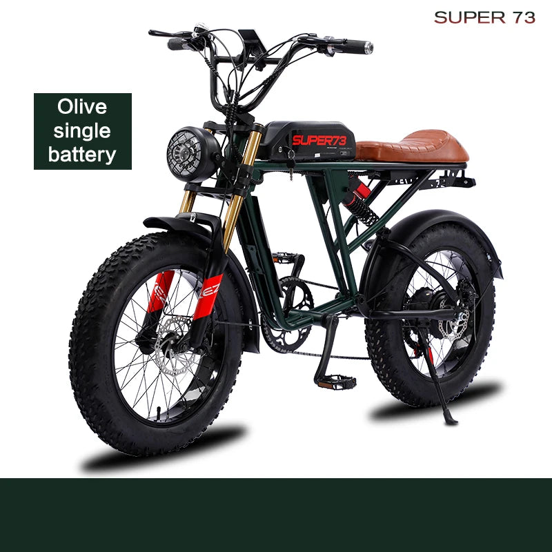 20inch Fat Tyre Lithium Dual Powered E - Bike