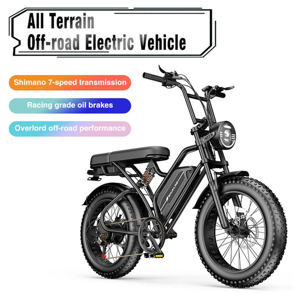 500W Electric Bicycle 48V 30AH Adult Mountain Ebike